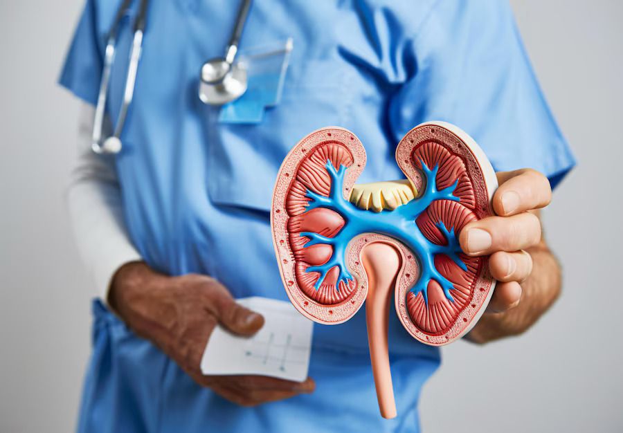 oncologia urologia Dr. Lucas Alexandria